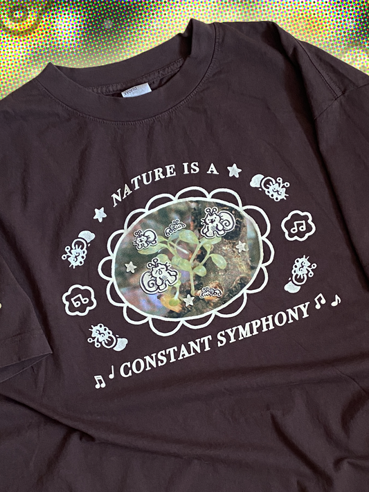 'nature is a constant symphony' boxy t-shirt