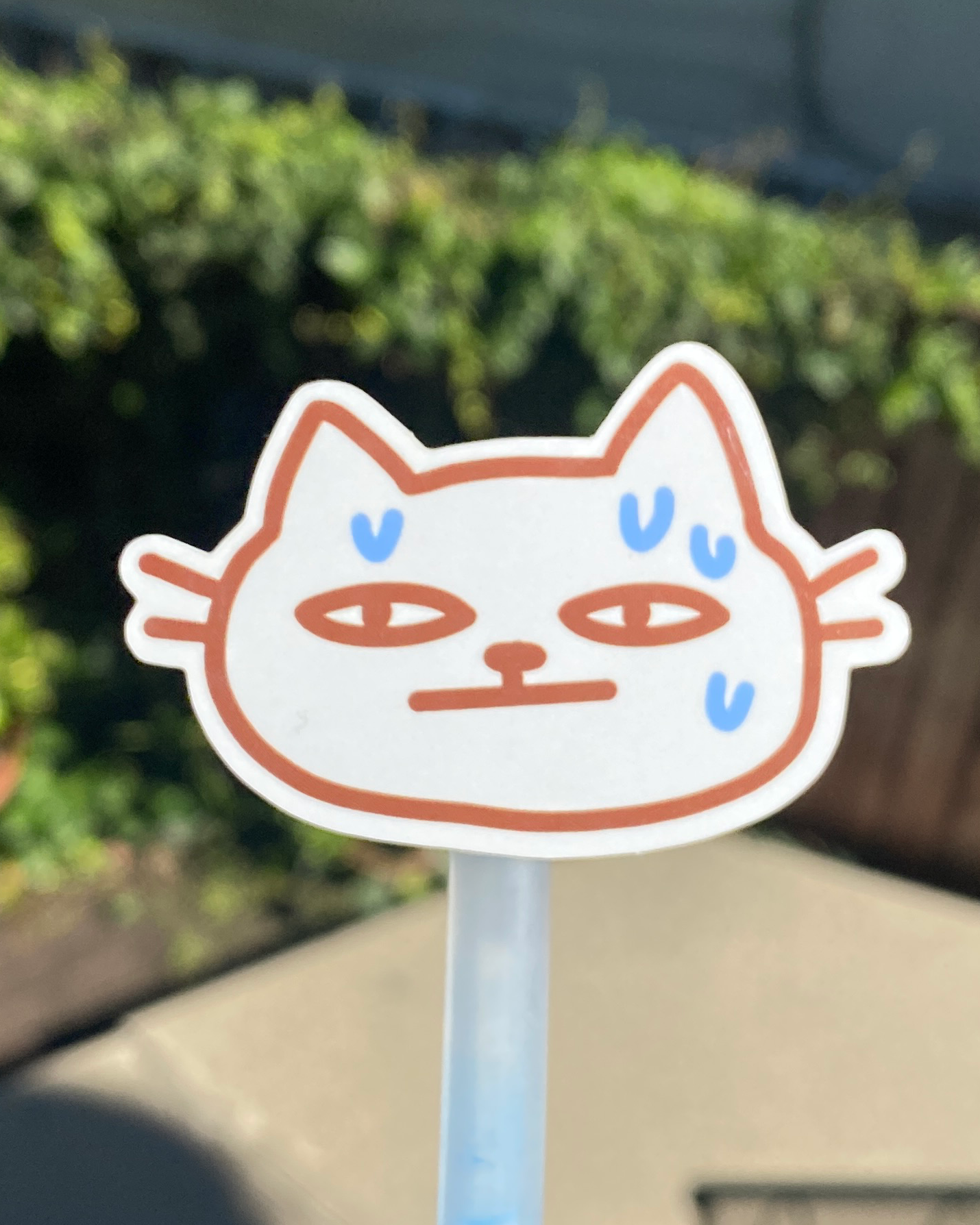 sweaty cat sticker