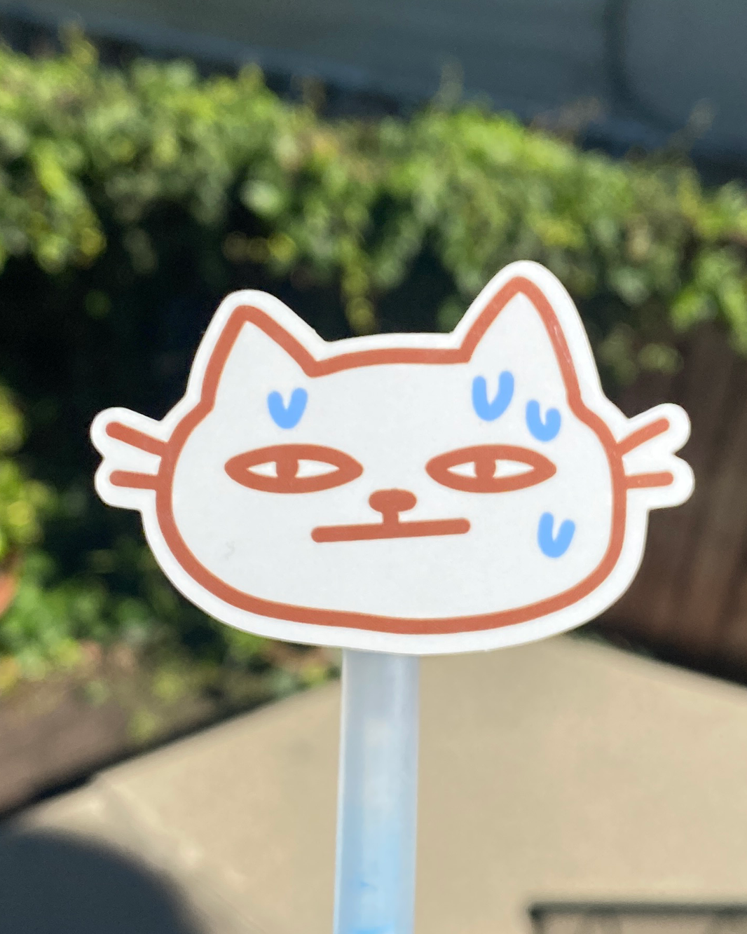 CATDAD (=^･ω･^=)/☆
