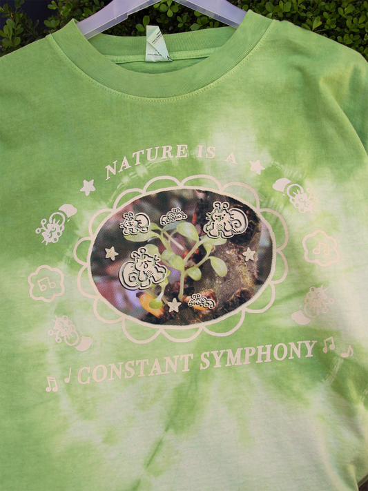 'nature is a constant symphony' boxy t-shirt tiedye